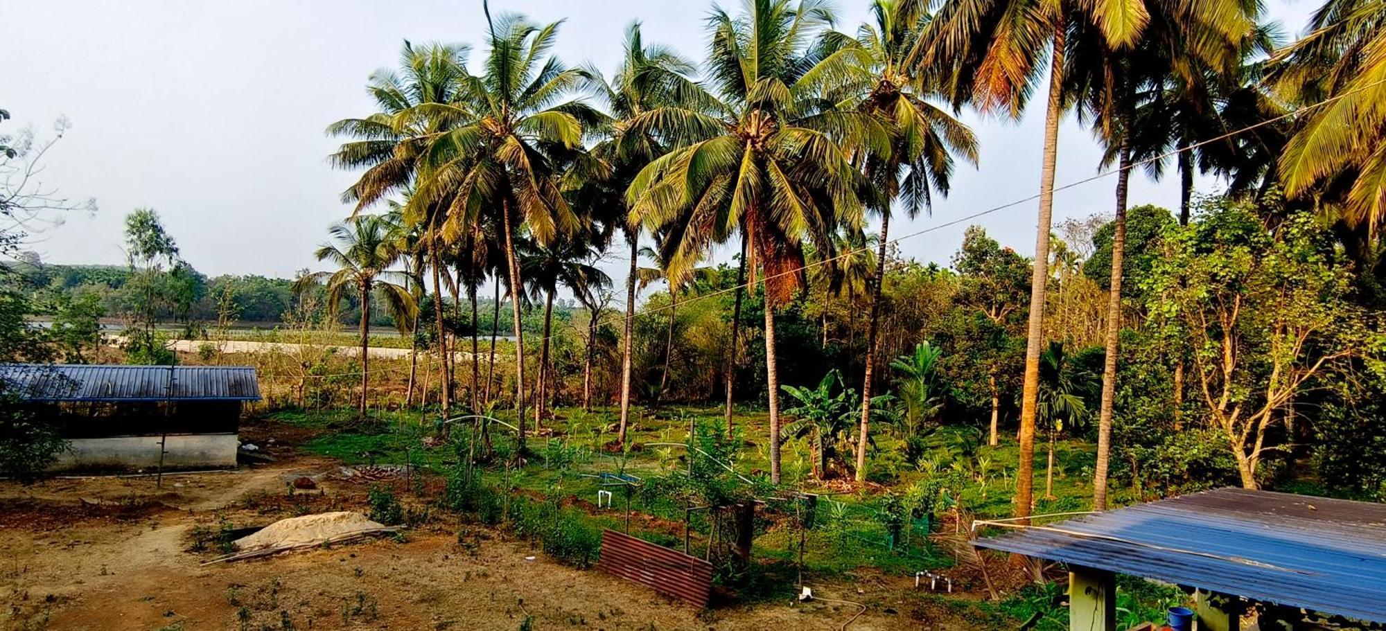 Sugamya Farm Guesthouse Sagar  Exterior photo